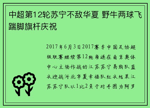 中超第12轮苏宁不敌华夏 野牛两球飞踹脚旗杆庆祝